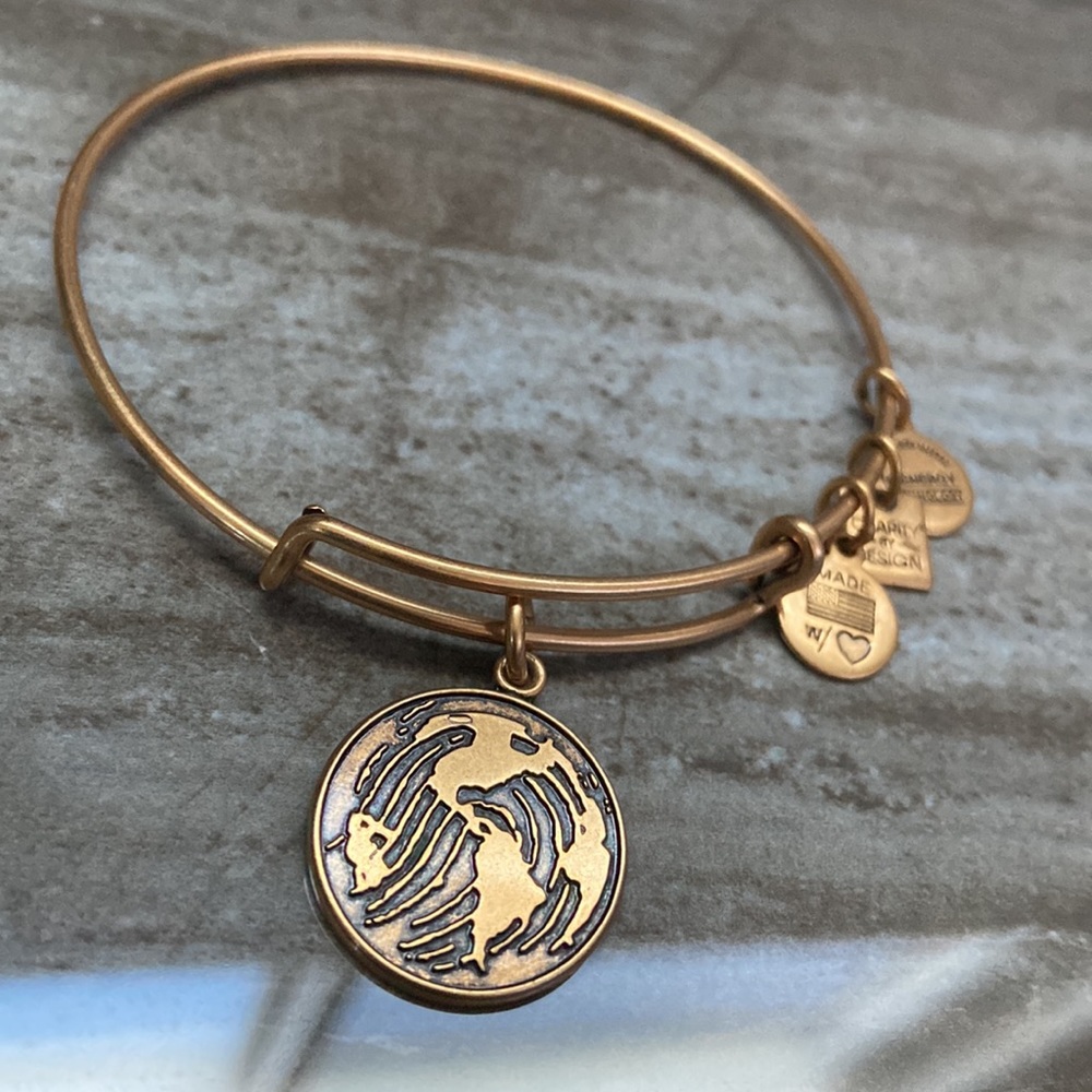 Alex And Ani World Globe Map Bangle Bracelet - image 4